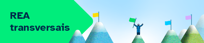 minibannerTrans