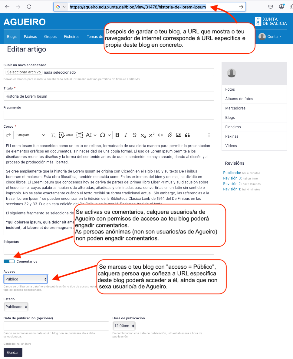 Blog externo
