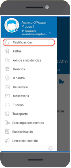 Cualificacións