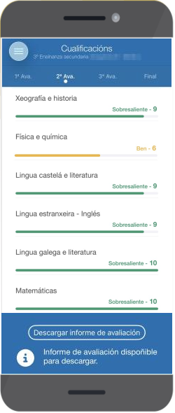 Descargar informe avaliacion