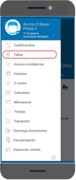 Faltas