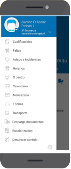 Incidencias